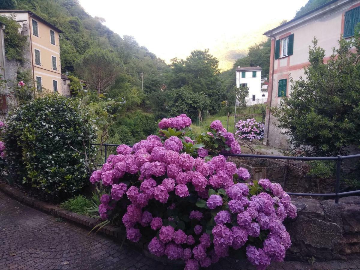 Appartamento Arredato Uso Turistico "La Nocciola" Mezzanego Exterior photo